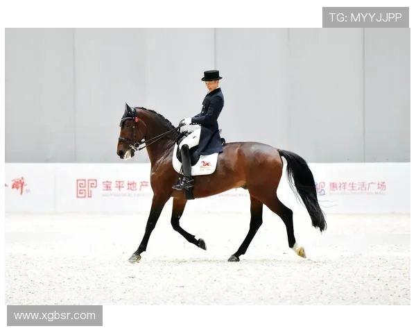 国际马术联合会盛装舞步的优雅瞬间